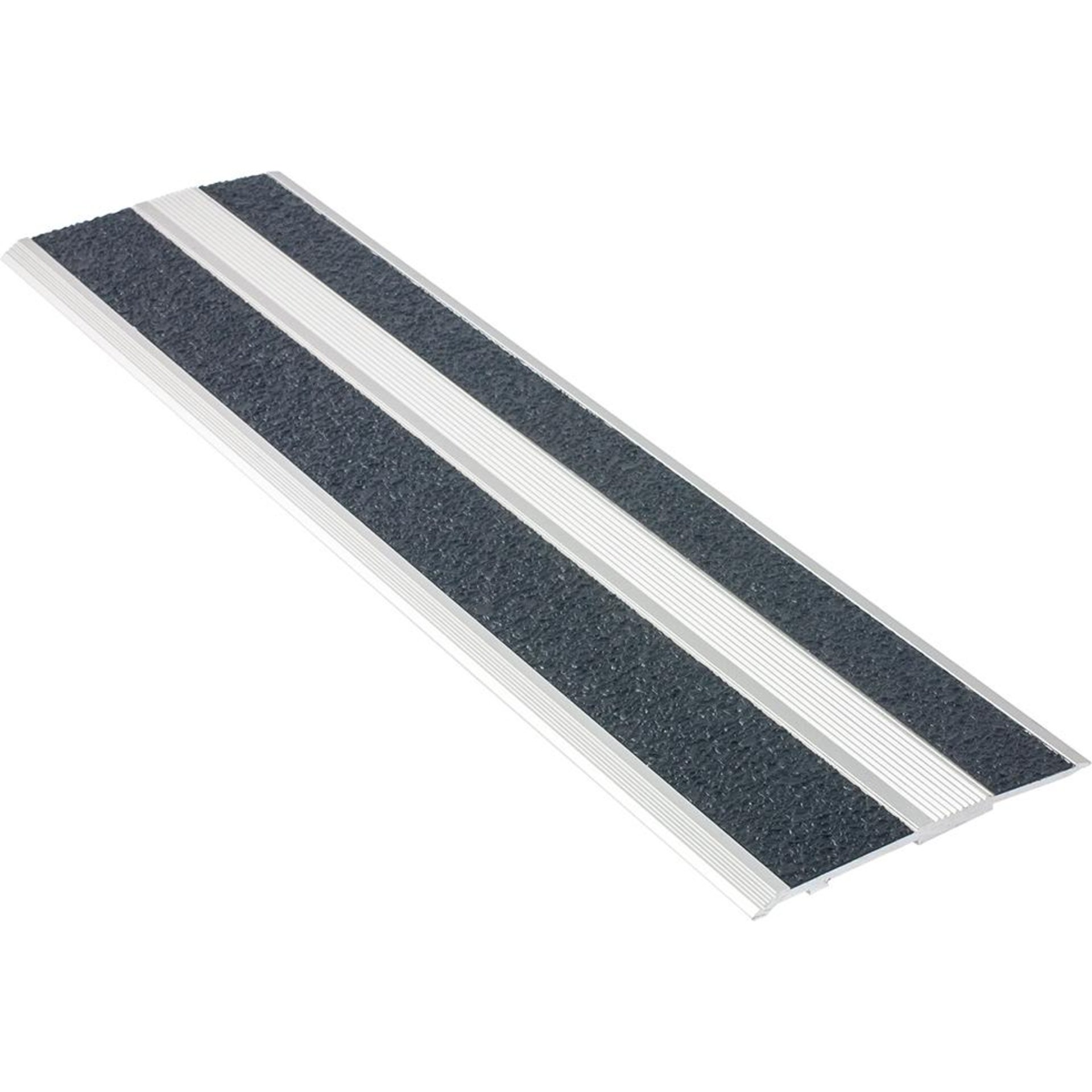 Schwellenprofil SP55