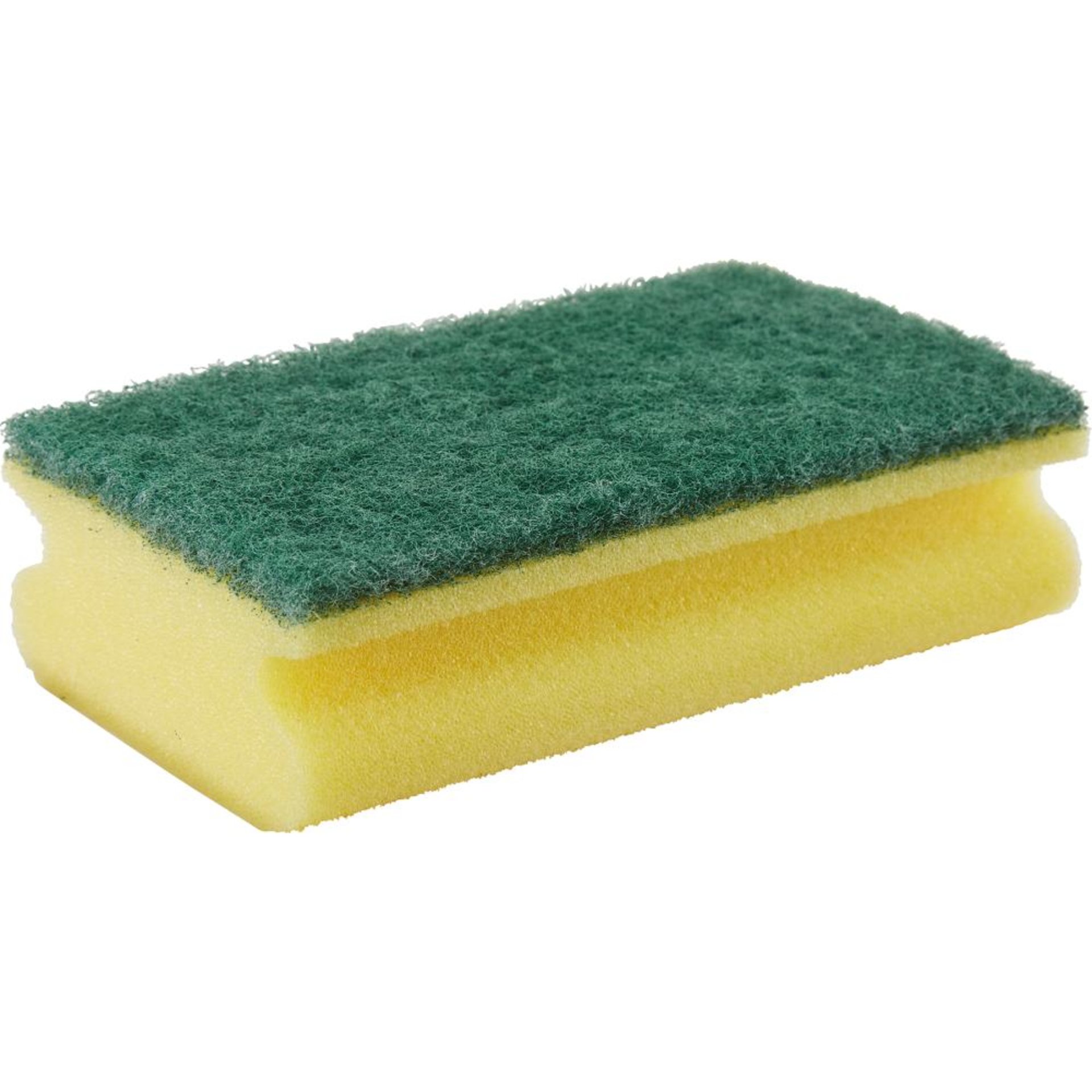 Scheuerschwamm