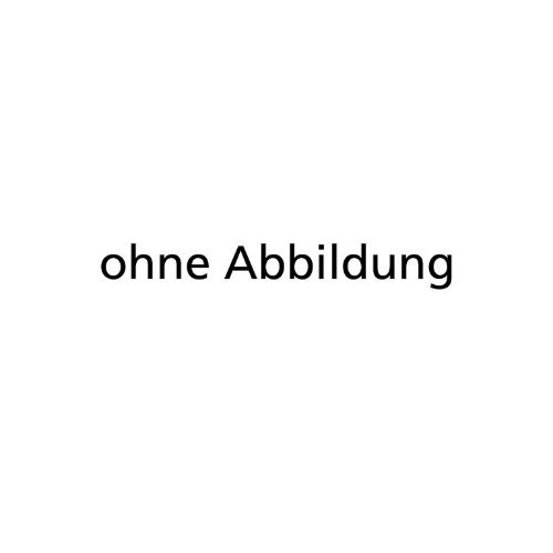 Scheibenreiniger-Schaum 500ml E-COLL EE