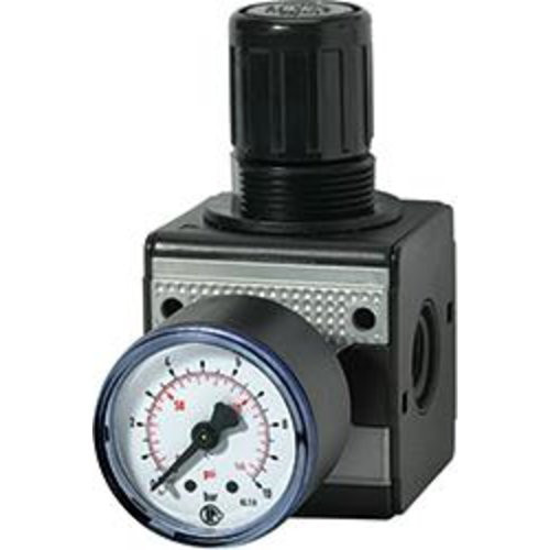 Druckregler multifix mit Manometer BG5 0,5-10bar G1." RIEGLER