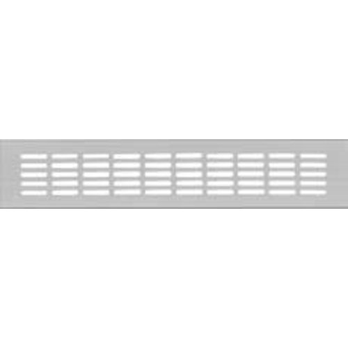 Stegblech 100x300 mm, F1 Schlitzlochung 30x5 mm